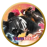 csmbhn