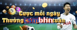 csmbhn